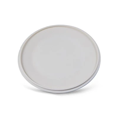 Ceramic Disc
